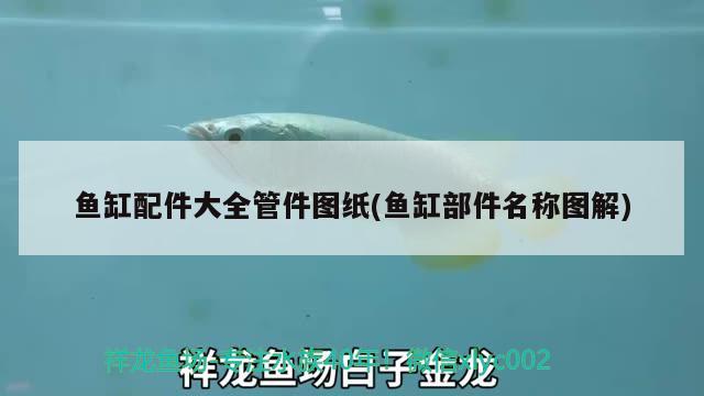 魚缸水渾濁怎么辦？ 觀賞魚 第3張