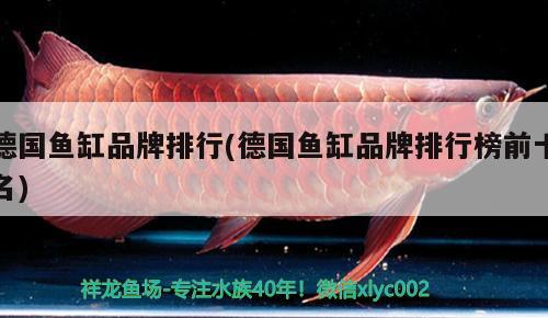 德國魚缸品牌排行(德國魚缸品牌排行榜前十名) 黑桃A魚苗 第2張