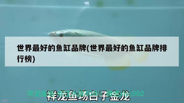 世界最好的魚缸品牌(世界最好的魚缸品牌排行榜) 印尼三紋虎