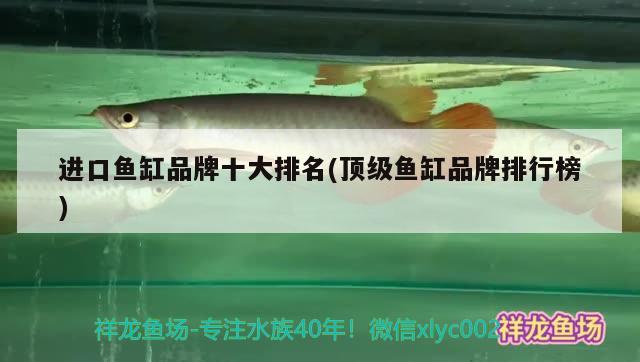 延安二手魚缸出售信息最新(延安魚缸批發(fā)市場) 祥龍龍魚魚糧 第2張