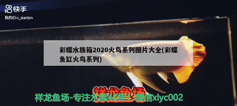 彩蝶水族箱2020火鳥系列圖片大全(彩蝶魚缸火鳥系列) 魚缸/水族箱