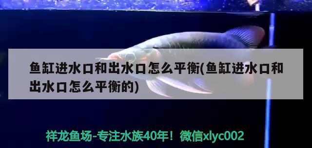 魚缸進(jìn)水口和出水口怎么平衡(魚缸進(jìn)水口和出水口怎么平衡的) 刀魚魚