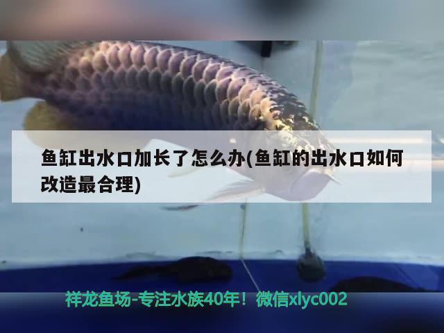 魚(yú)缸出水口加長(zhǎng)了怎么辦(魚(yú)缸的出水口如何改造最合理)