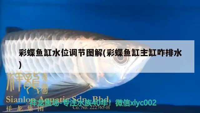 臺(tái)州魚(yú)缸定制公司電話地址及電話：臺(tái)州魚(yú)缸定制公司電話地址及電話號(hào)碼