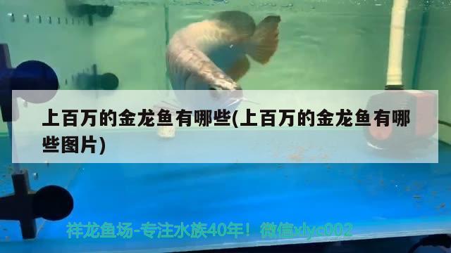 實木魚缸底柜制作的方法是什么，自己如何做玻璃魚缸