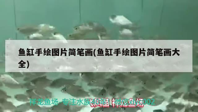 觀賞魚缸水黃怎么辦視頻（ 觀賞魚缸水黃怎么辦視頻教程） 黑白雙星魚