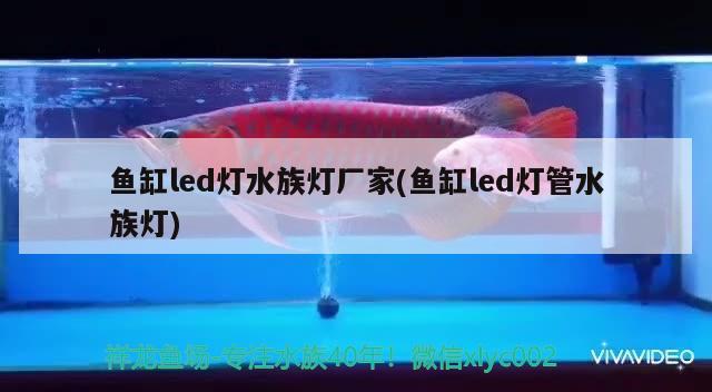 魚缸led燈水族燈廠家(魚缸led燈管水族燈)