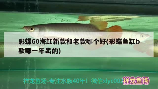 彩蝶60海缸新款和老款哪個好(彩蝶魚缸b款哪一年出的)