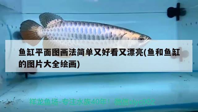 魚(yú)缸平面圖畫(huà)法簡(jiǎn)單又好看又漂亮(魚(yú)和魚(yú)缸的圖片大全繪畫(huà))