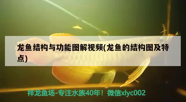 中國(guó)第一艘自主研制的航空母艦是什么時(shí)候下水的，2022年八月發(fā)生的重大事件