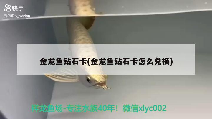 金龍魚鉆石卡(金龍魚鉆石卡怎么兌換)