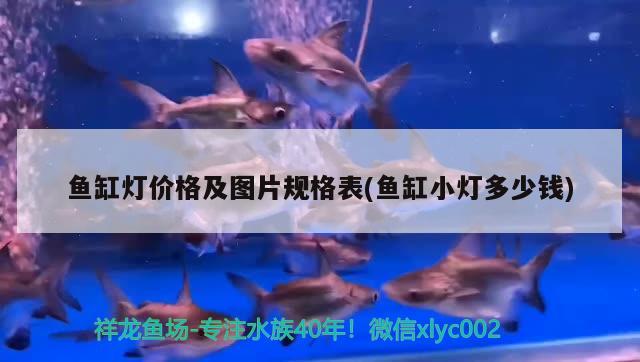 魚缸燈價(jià)格及圖片規(guī)格表(魚缸小燈多少錢)