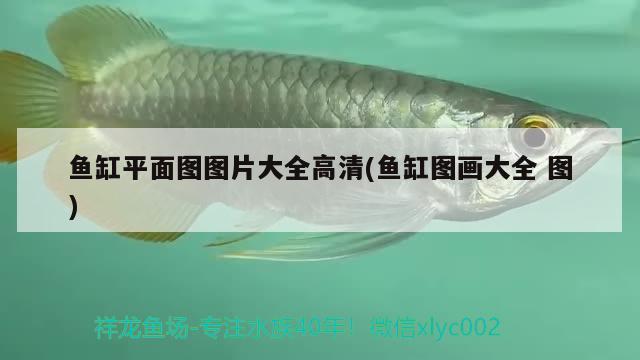 魚缸平面圖圖片大全高清(魚缸圖畫大全圖)