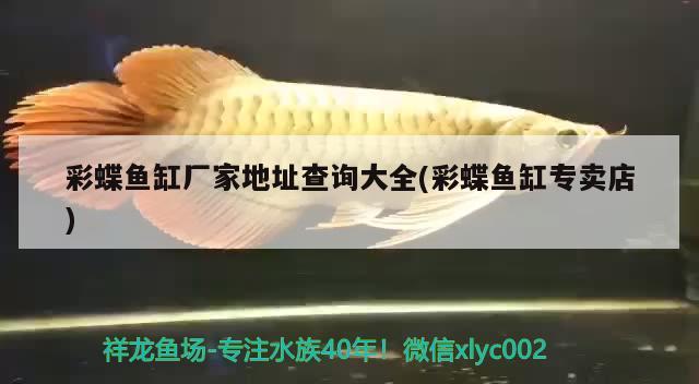 彩蝶魚缸廠家地址查詢大全(彩蝶魚缸專賣店) 海象魚