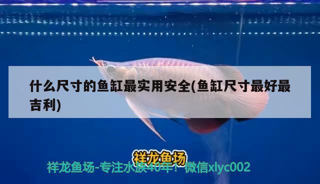 什么尺寸的魚缸最實用安全(魚缸尺寸最好最吉利)