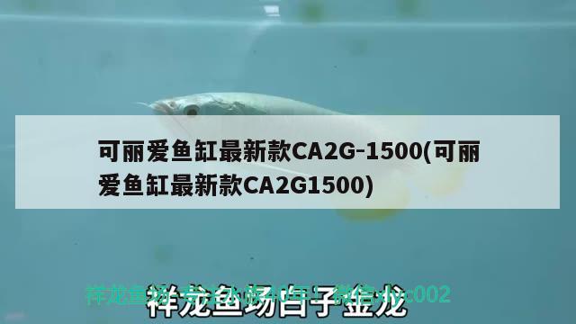 可麗愛魚缸最新款CA2G-1500(可麗愛魚缸最新款CA2G1500) 黑白雙星魚