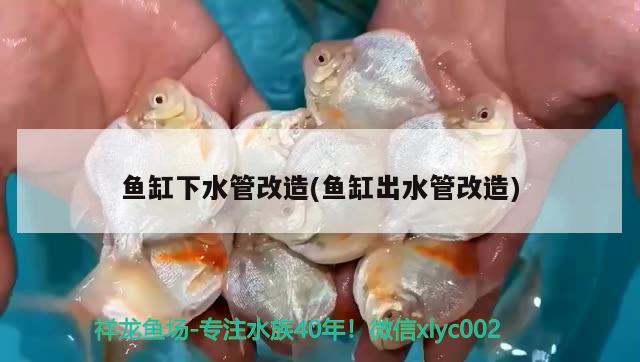 魚缸下水管改造(魚缸出水管改造) 廣州觀賞魚魚苗批發(fā)市場 第1張