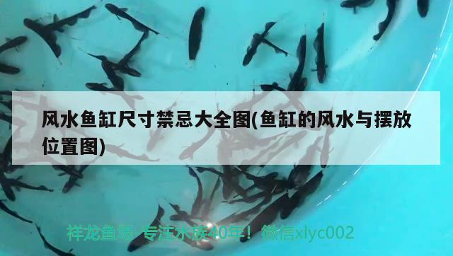 風(fēng)水魚缸尺寸禁忌大全圖(魚缸的風(fēng)水與擺放位置圖)