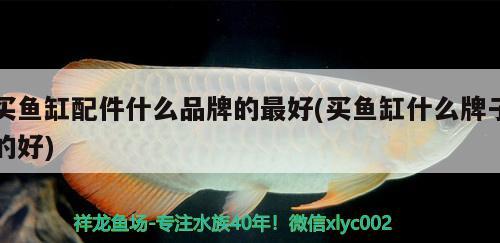 湘潭魚缸定制、湘潭魚缸訂做的信息別忘了關(guān)注祥龍魚場哦，湘潭魚缸定做的注意事項