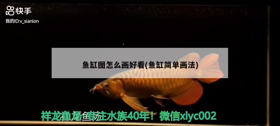 魚缸圖怎么畫好看(魚缸簡單畫法) iwish愛唯希品牌魚缸