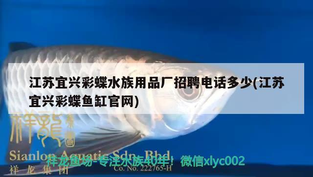 江蘇宜興彩蝶水族用品廠招聘電話多少(江蘇宜興彩蝶魚缸官網) 水族用品