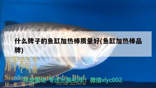 什么牌子的魚缸加熱棒質(zhì)量好(魚缸加熱棒品牌) 白子黃化銀龍魚