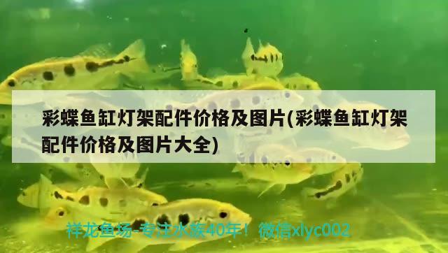 彩蝶魚缸燈架配件價格及圖片(彩蝶魚缸燈架配件價格及圖片大全)