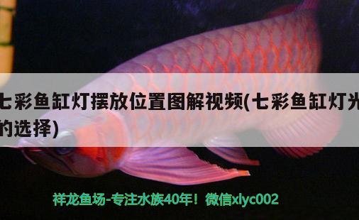 七彩魚(yú)缸燈擺放位置圖解視頻(七彩魚(yú)缸燈光的選擇) iwish愛(ài)唯希品牌魚(yú)缸