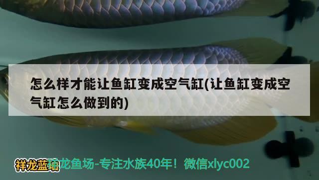 魚缸底過濾如何清洗(魚缸內(nèi)置過濾器怎么清洗) 皇冠黑白魟魚 第2張