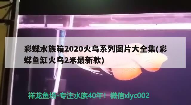 彩蝶水族箱2020火鳥系列圖片大全集(彩蝶魚缸火鳥2米最新款)