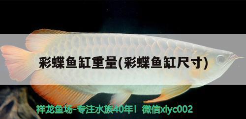 彩蝶魚缸重量(彩蝶魚缸尺寸) 大正錦鯉魚