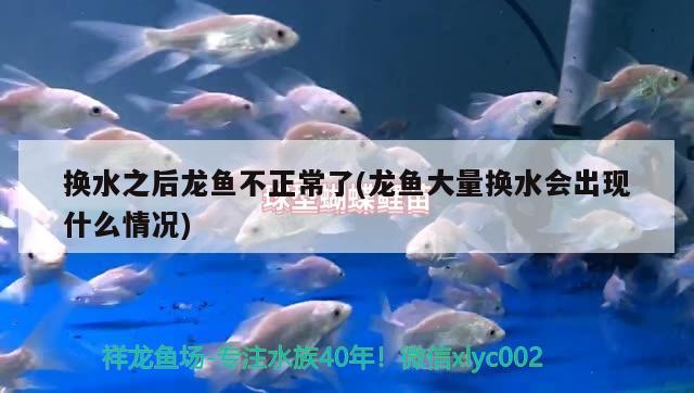 換水之后龍魚不正常了(龍魚大量換水會出現(xiàn)什么情況) 南美異型魚