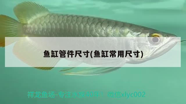 魚缸管件尺寸(魚缸常用尺寸) 定時器/自控系統(tǒng)