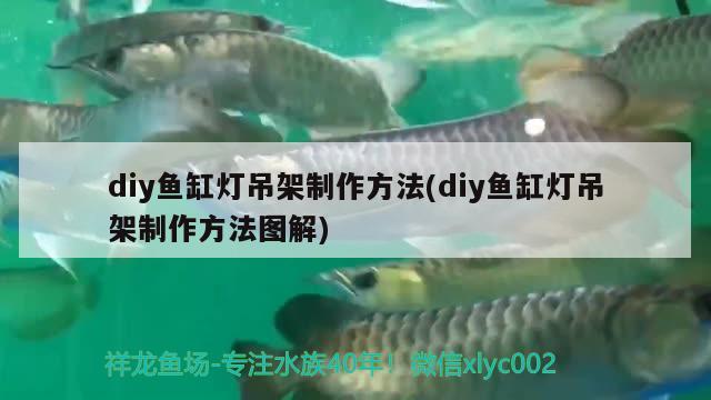 diy魚缸燈吊架制作方法(diy魚缸燈吊架制作方法圖解)