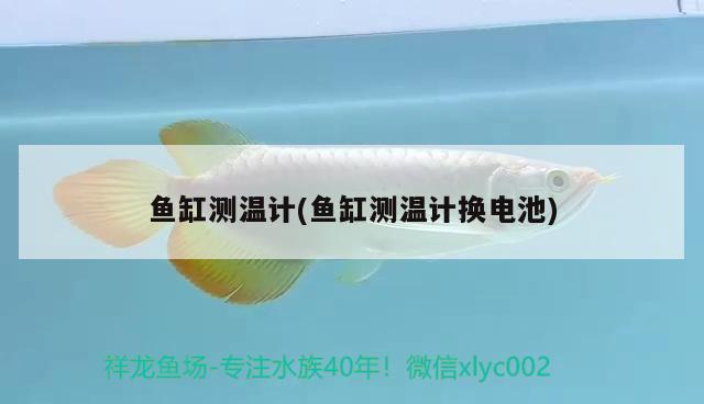 魚缸測(cè)溫計(jì)(魚缸測(cè)溫計(jì)換電池) 白化火箭魚