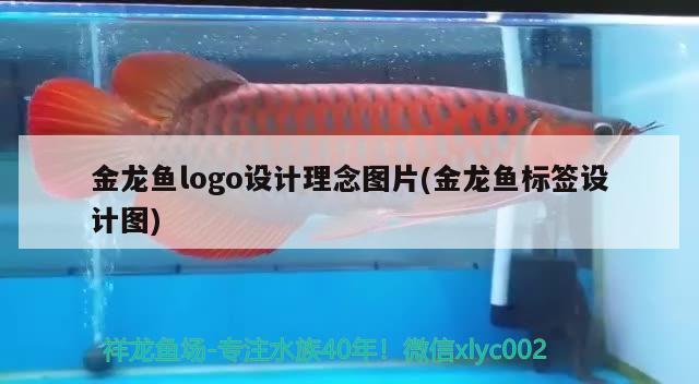 金龍魚logo設計理念圖片(金龍魚標簽設計圖) 孵化器