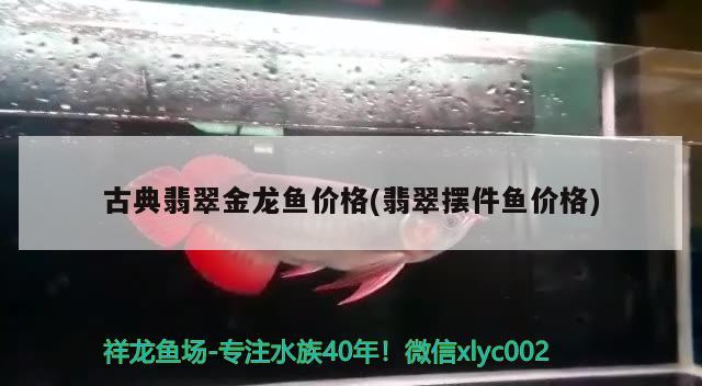 古典翡翠金龍魚價格(翡翠擺件魚價格) B級過背金龍魚