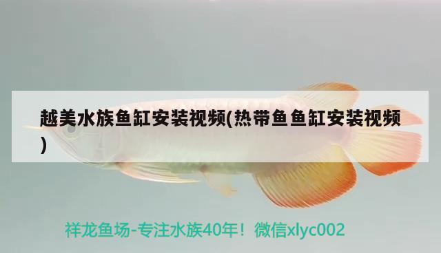 越美水族魚(yú)缸安裝視頻(熱帶魚(yú)魚(yú)缸安裝視頻)