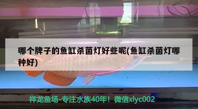 哪個牌子的魚缸殺菌燈好些呢(魚缸殺菌燈哪種好)