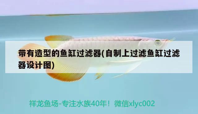 帶有造型的魚缸過濾器(自制上過濾魚缸過濾器設(shè)計(jì)圖)