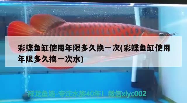 彩蝶魚缸使用年限多久換一次(彩蝶魚缸使用年限多久換一次水)