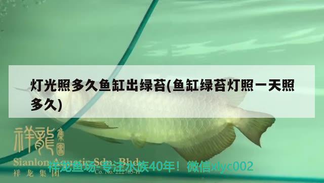 燈光照多久魚缸出綠苔(魚缸綠苔燈照一天照多久)