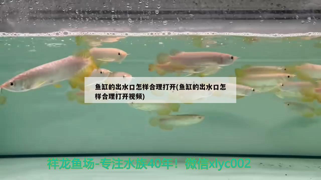 魚缸的出水口怎樣合理打開(魚缸的出水口怎樣合理打開視頻)