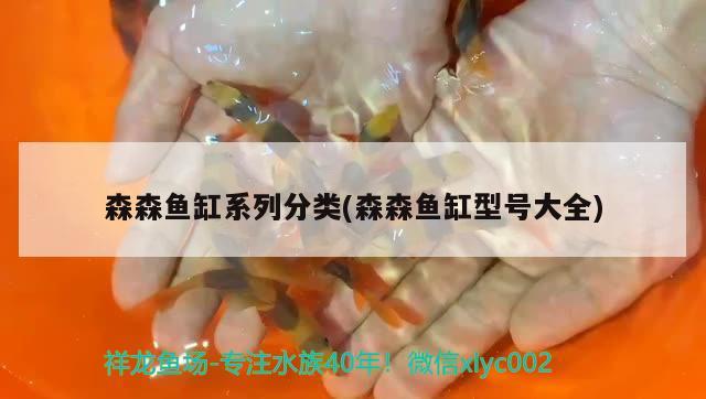 森森魚缸系列分類(森森魚缸型號大全)