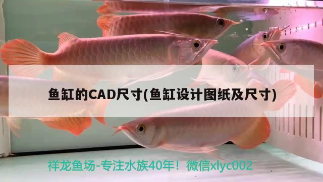 魚缸的CAD尺寸(魚缸設(shè)計(jì)圖紙及尺寸) 魚糧魚藥