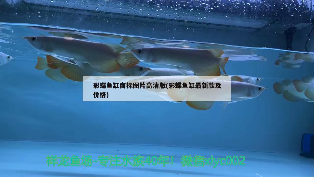 魚缸開放式好還是開放式好？（養(yǎng)魚魚缸封閉好還是開放好，） 喂食器 第2張