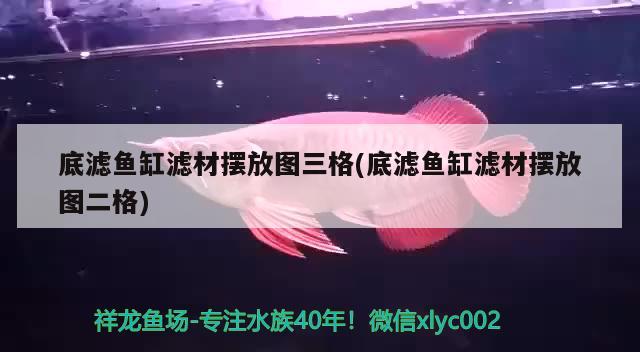 底濾魚缸濾材擺放圖三格(底濾魚缸濾材擺放圖二格)