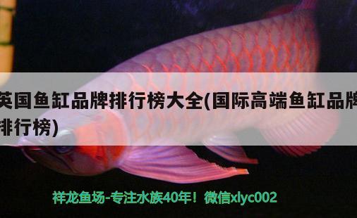 英國(guó)魚(yú)缸品牌排行榜大全(國(guó)際高端魚(yú)缸品牌排行榜) 廣州觀賞魚(yú)批發(fā)市場(chǎng)