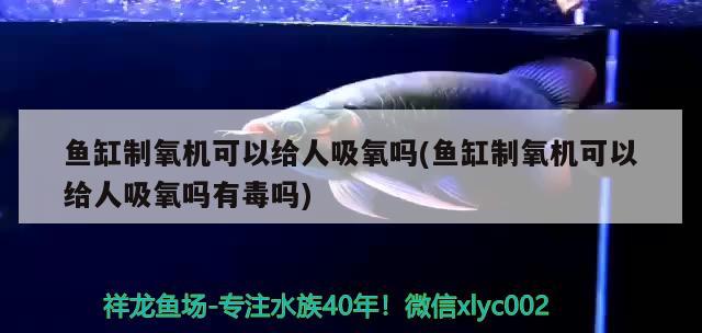 魚缸制氧機(jī)可以給人吸氧嗎(魚缸制氧機(jī)可以給人吸氧嗎有毒嗎)