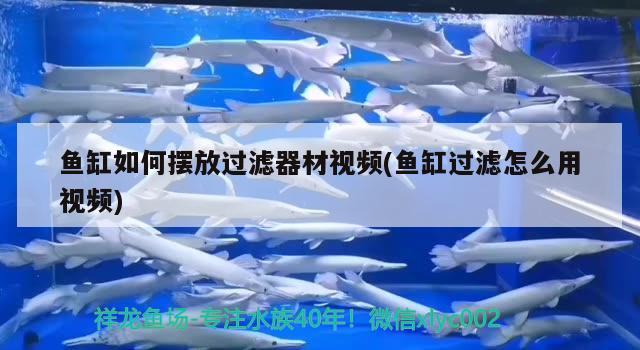 魚缸如何擺放過濾器材視頻(魚缸過濾怎么用視頻) 魚缸水泵